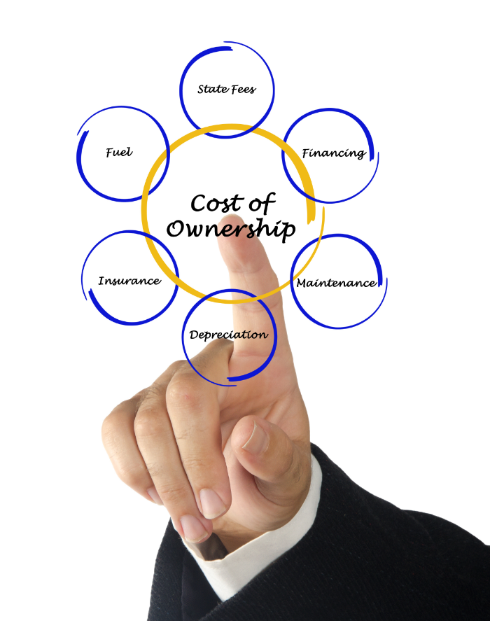 Transaction Costs and Hidden Ownership